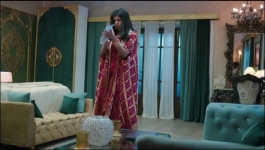 Jaane Anjaane Hum Mile - 27th February 2025